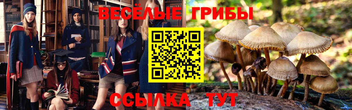 Галлюциногенные грибы мухоморы  Вход с VPN  Керчь 